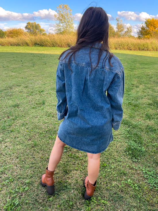 FRNCH: Domitille Denim Dress - Revel Boutique